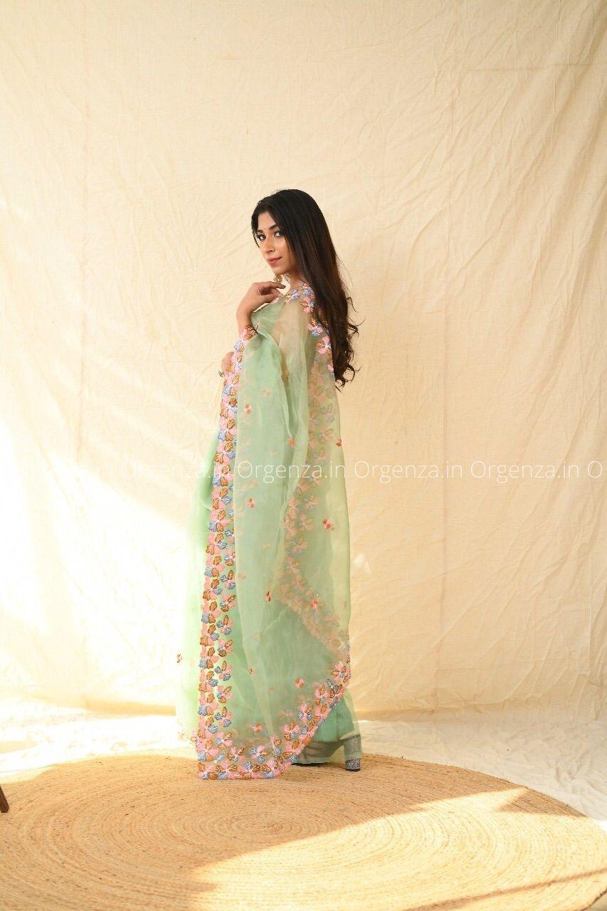 Best Pista Color Soft Organza With Thread Work - Orgenza Store