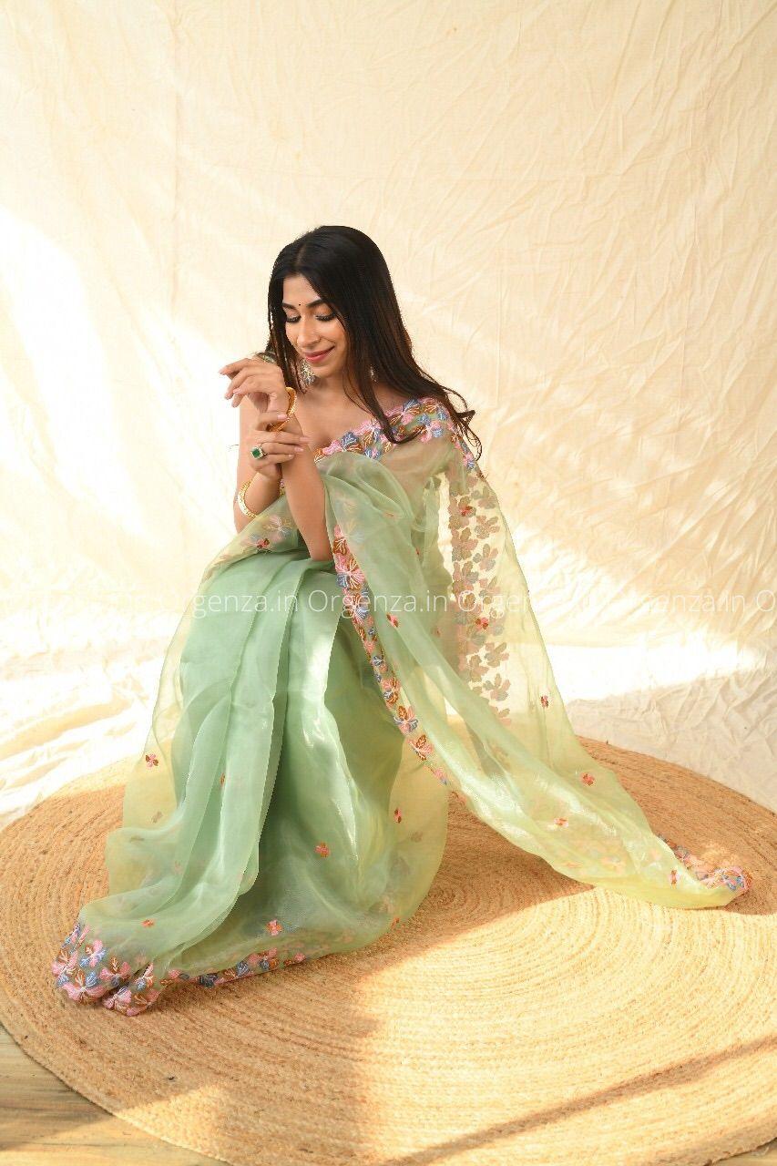 Best Pista Color Soft Organza With Thread Work - Orgenza Store