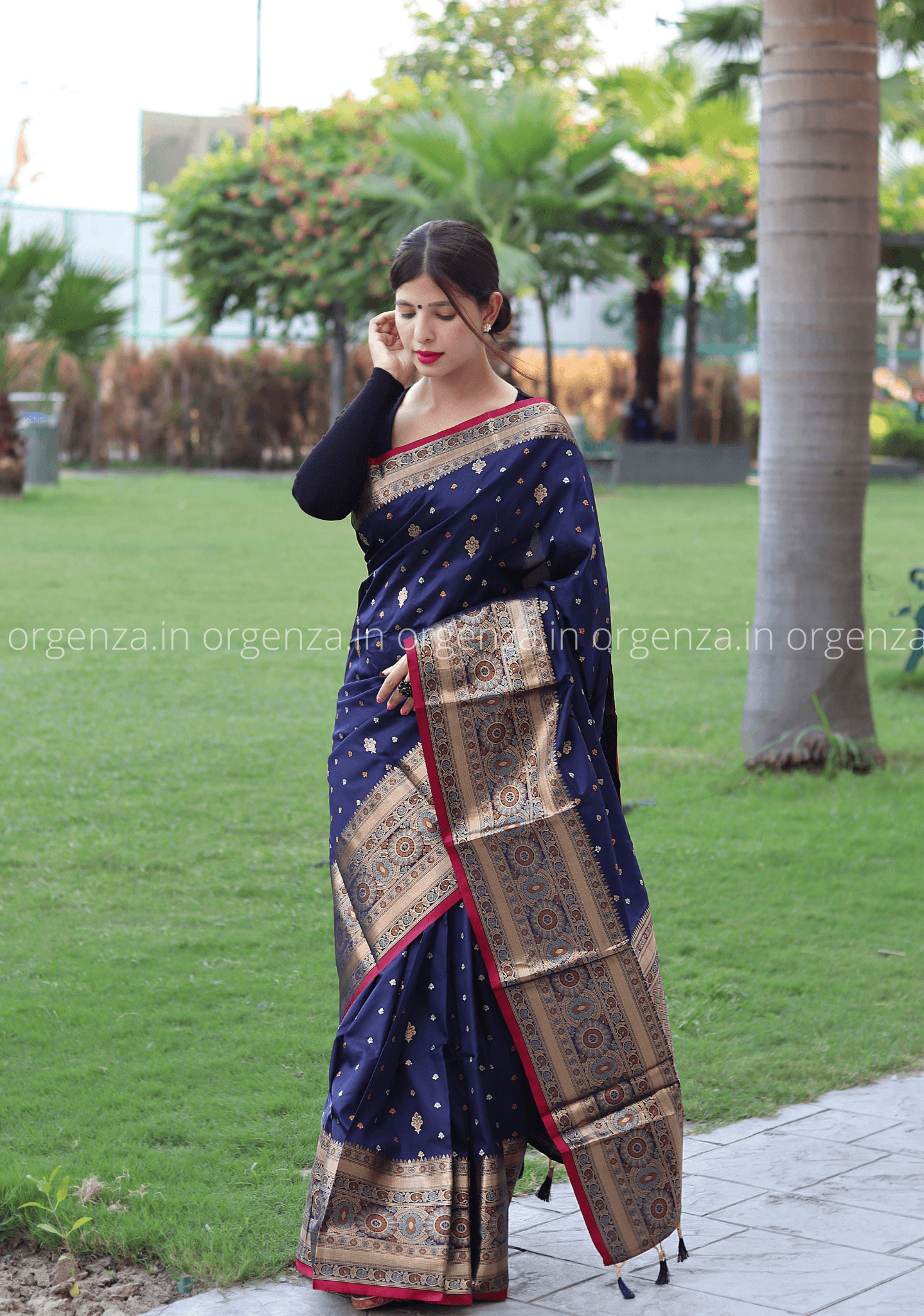 Navy Blue Zari Woven Saree - Orgenza Store