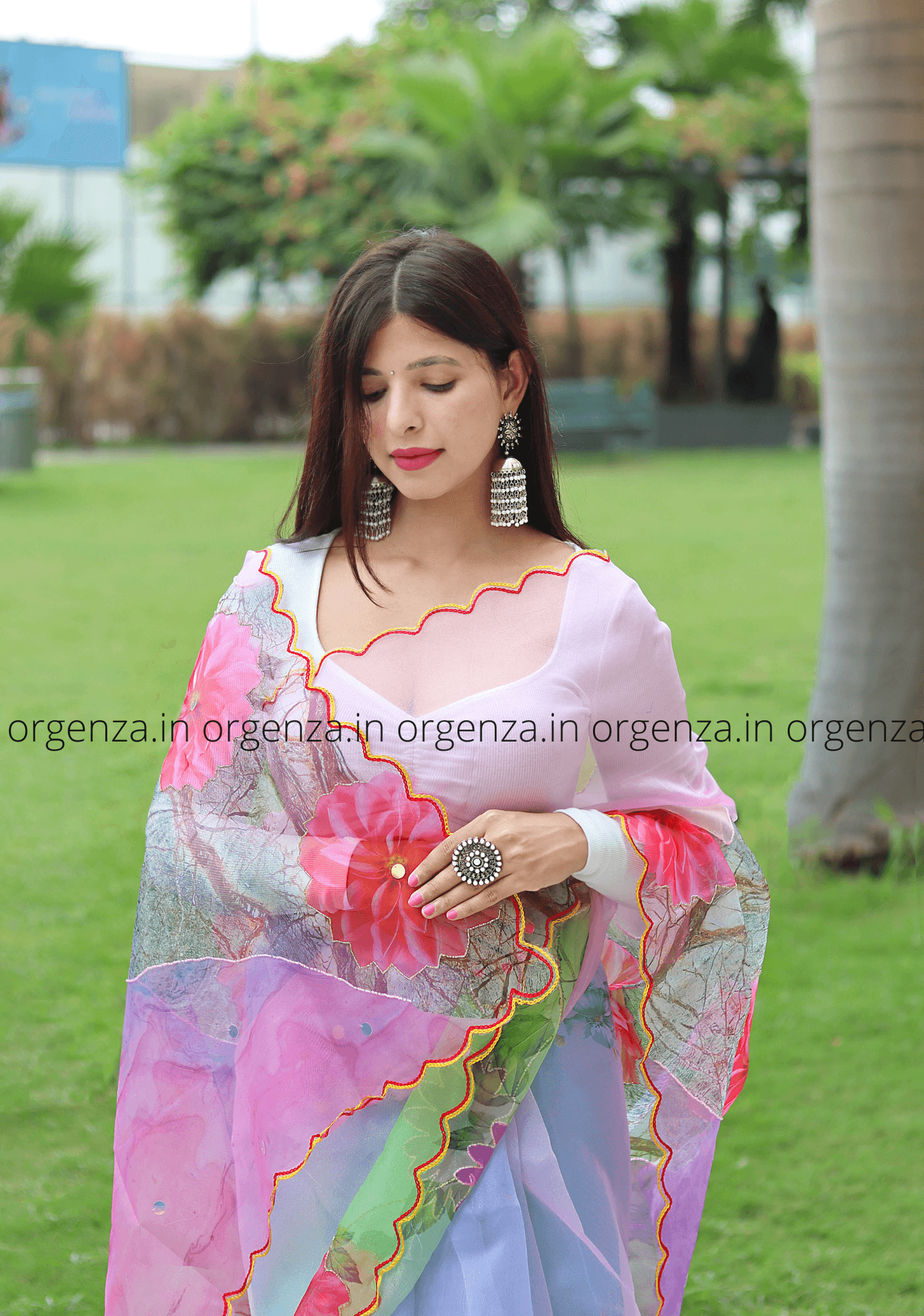 Rainbow Colour Organza Saree With Khatli Work - Orgenza Store