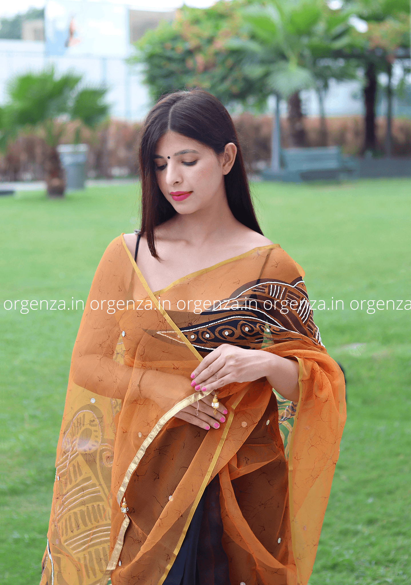 Soft Organza Saree With Gold Border - Orgenza Store - digisoch