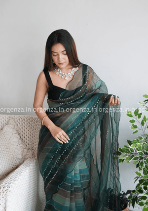 Pure Organza Silk Saree With Hand Work - Orgenza Store - digisoch