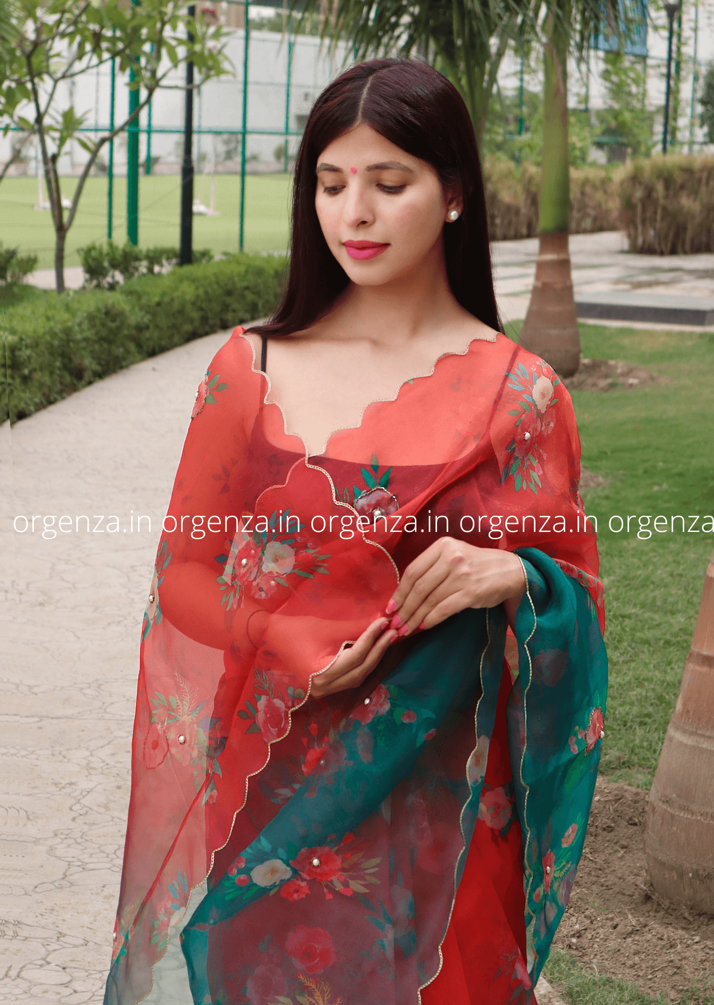 Red And Rama Organza Multi Colour With Readymade Blouse - Orgenza Store