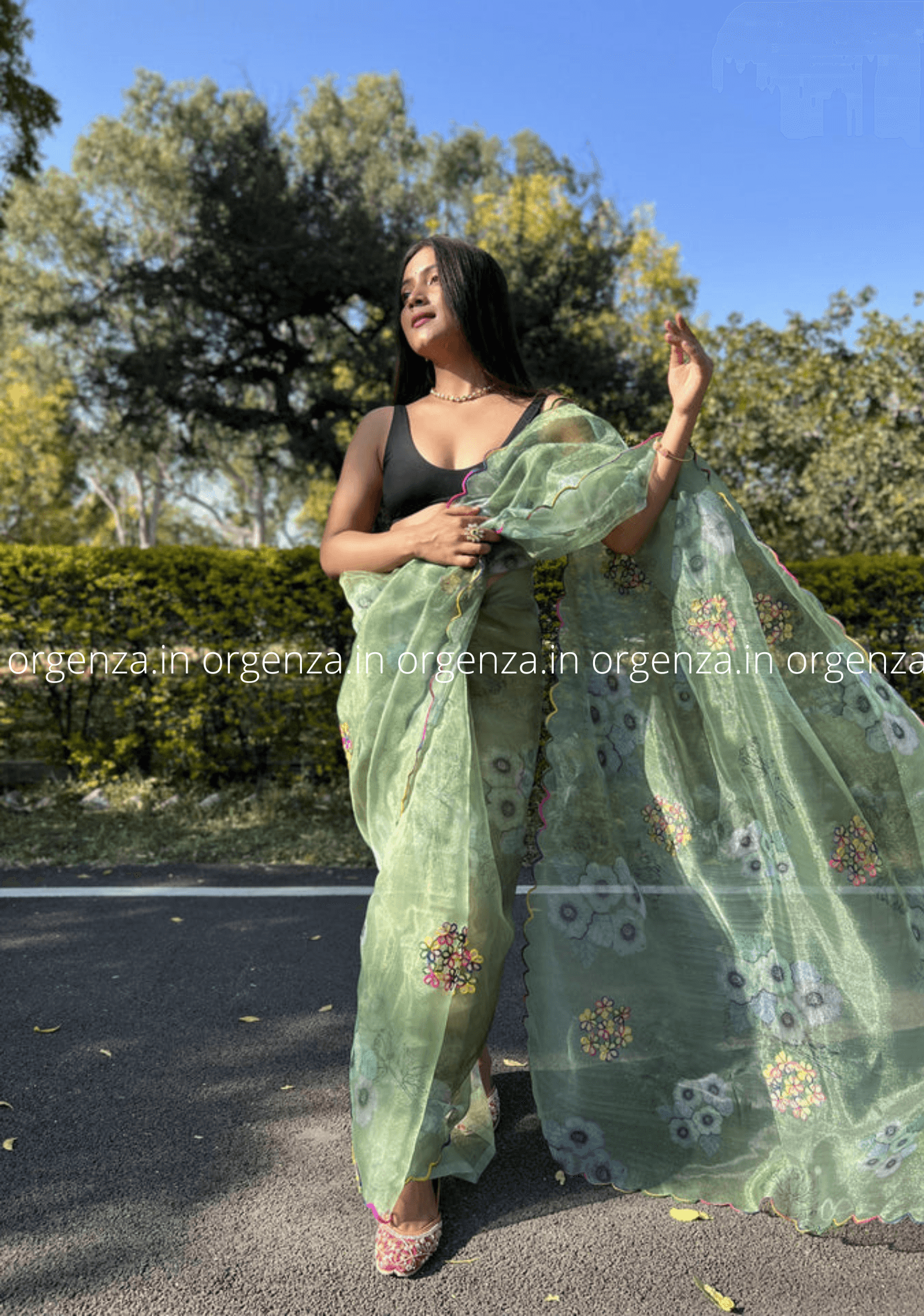 Orgenza Saree With Multi Colour Gotta Work - Orgenza Store