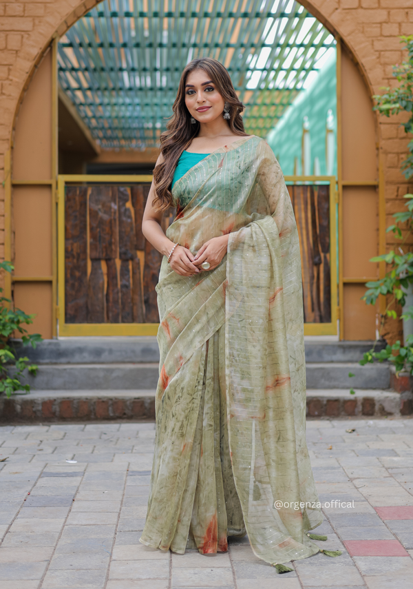 Organza Furr Saree With Sequence Lining