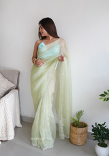 Pista Green Organza With Jardoshi And Khatli Work