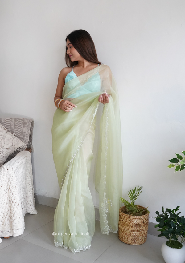 Pista Green Organza With Jardoshi And Khatli Work