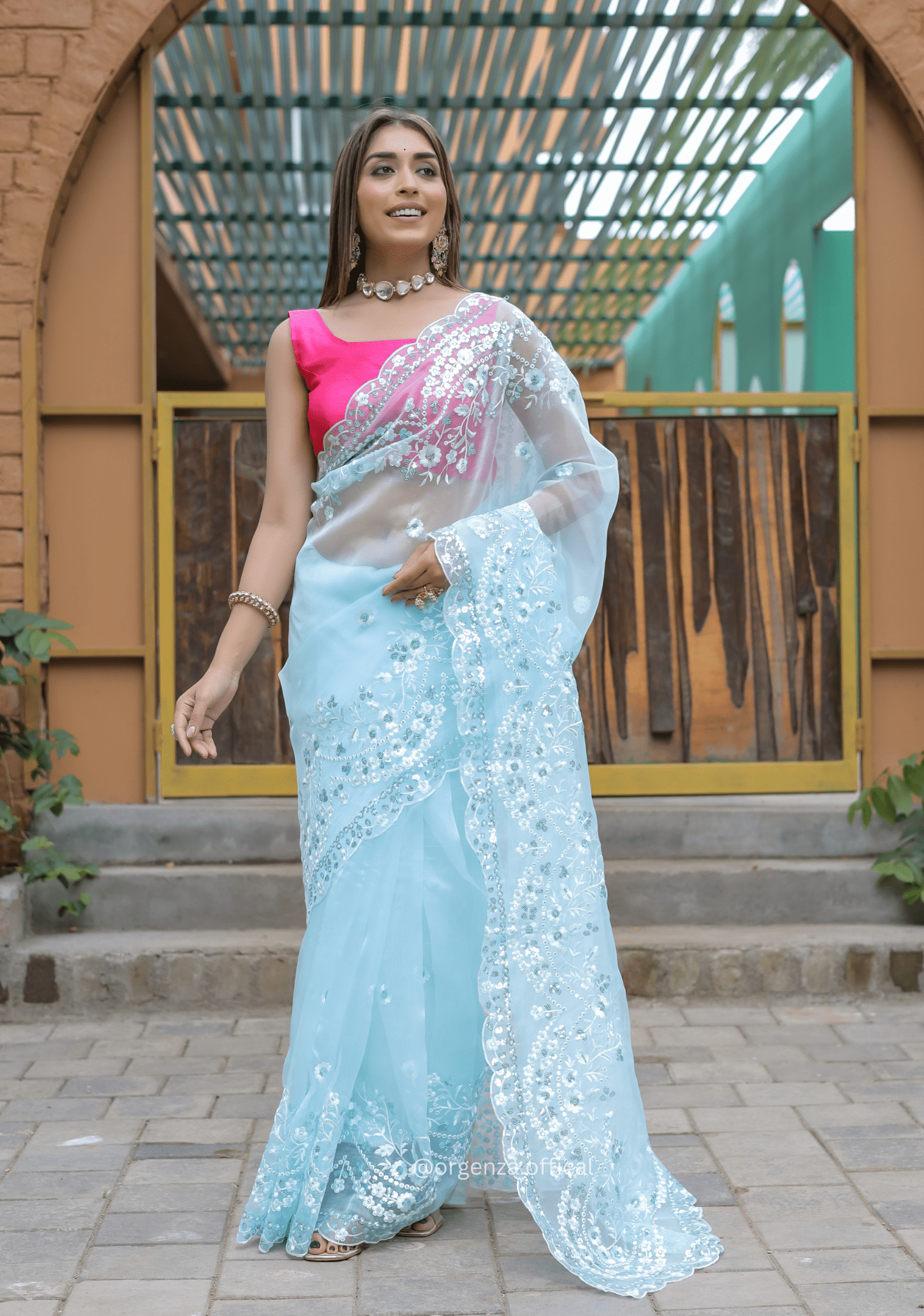Sky Blue Soft Organza Saree With Sequence Work - Orgenza Store - digisoch