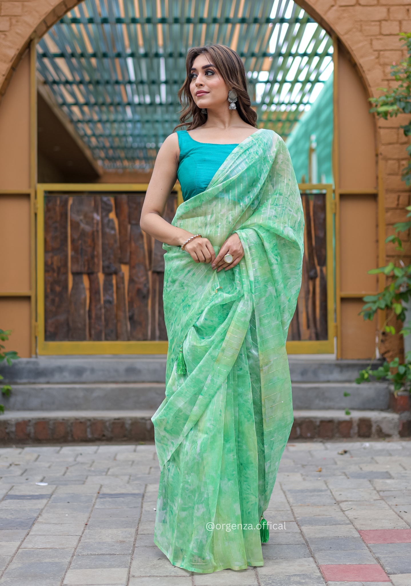 Organza Saree Furr With Sequence Lining - Orgenza Store