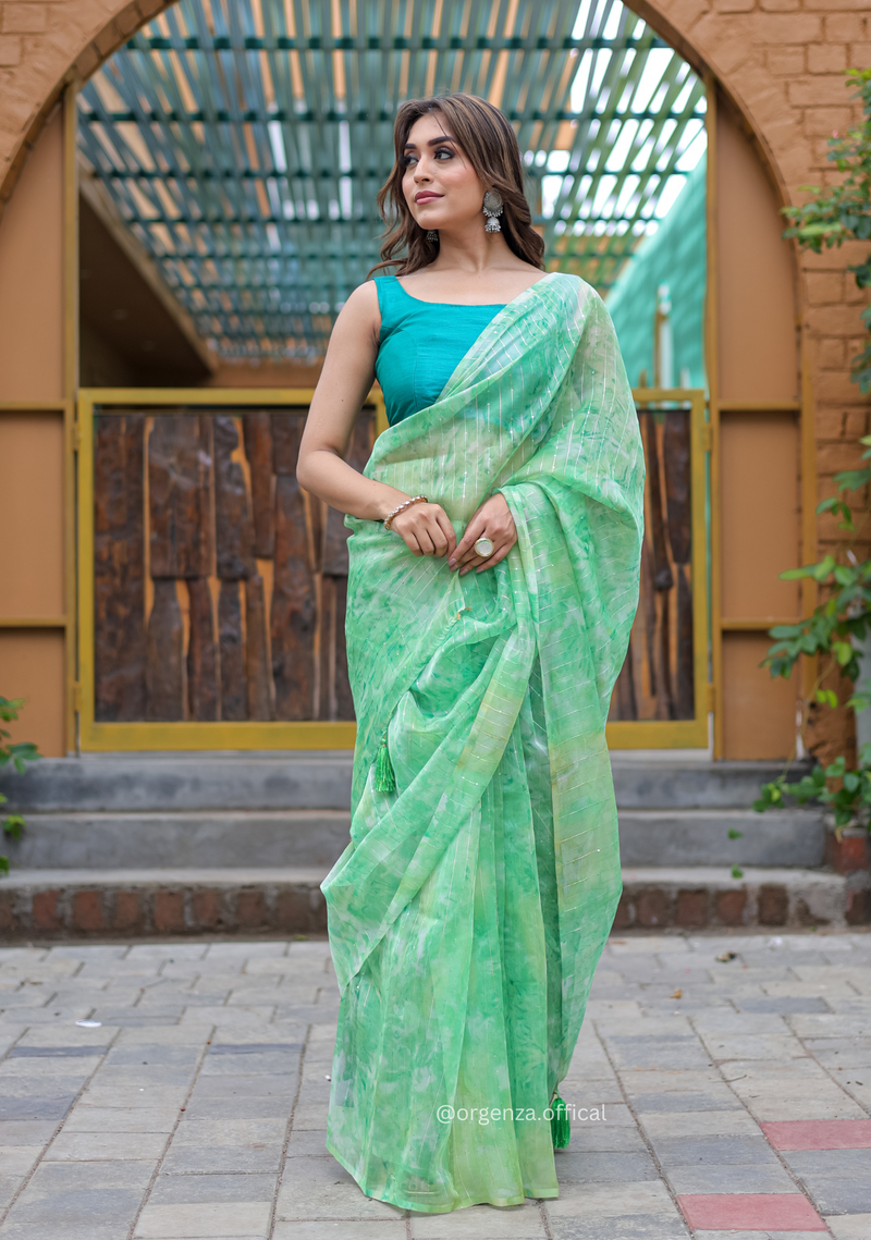 Organza Saree Furr With Sequence Lining