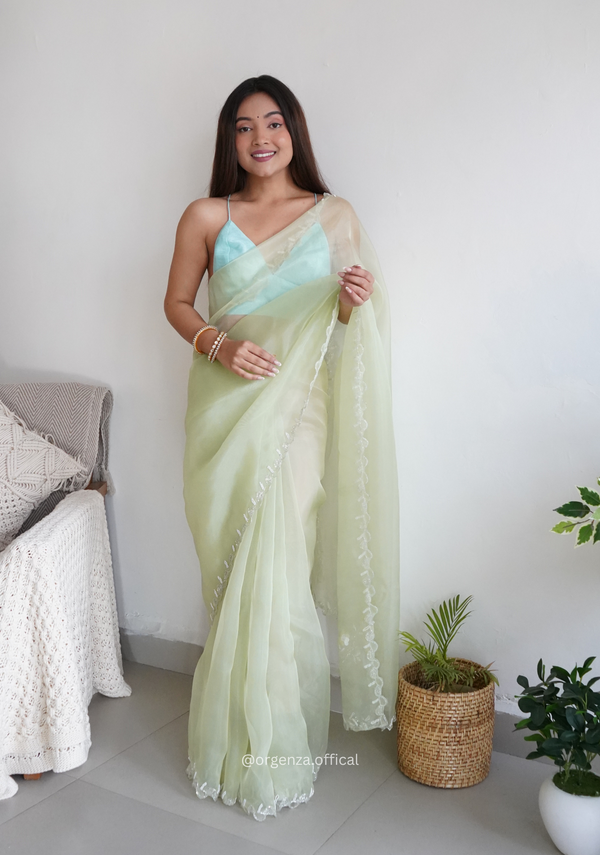 Pista Green Organza With Jardoshi And Khatli Work
