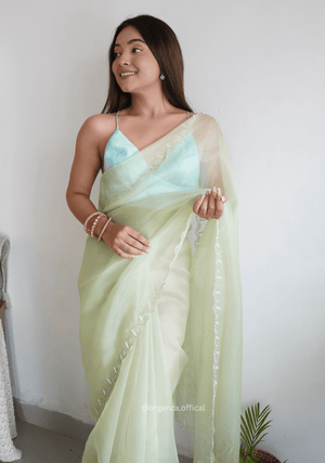 Pista Green Organza With Jardoshi And Khatli Work - Orgenza Store - digisoch