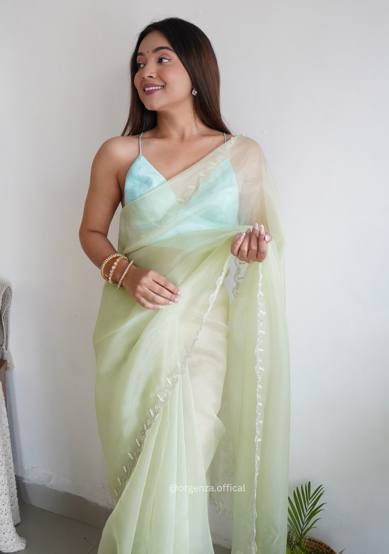 Pista Green Organza With Jardoshi And Khatli Work