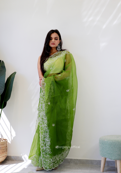Parrot Green Colour Embroidery Thread Work Saree - Orgenza Store