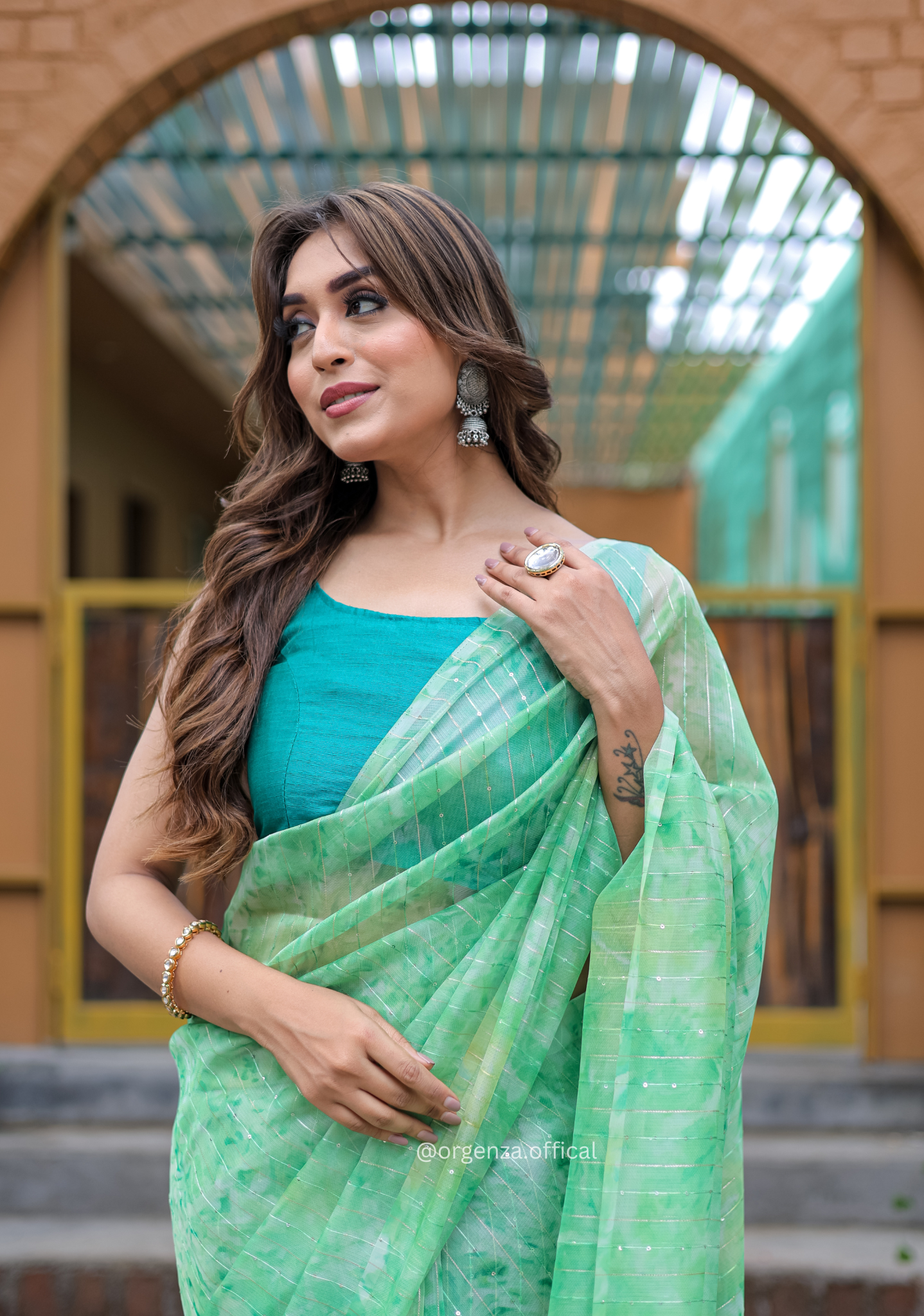 Organza Saree Furr With Sequence Lining - Orgenza Store