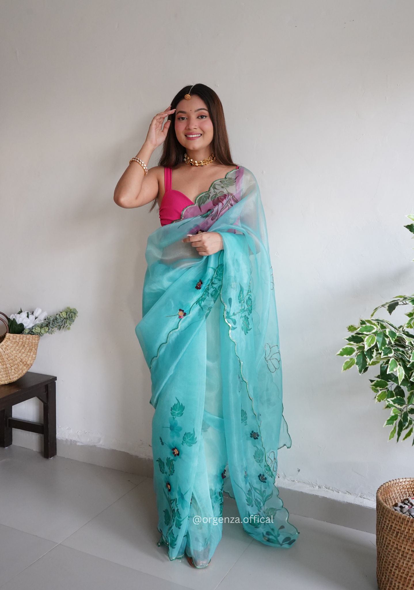 Sky Colour Organza Saree With Handwork