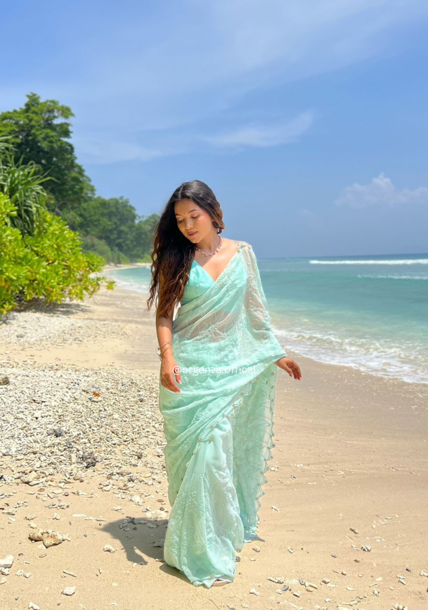 Georgette Silk Saree With Embridoery Work - Orgenza Store