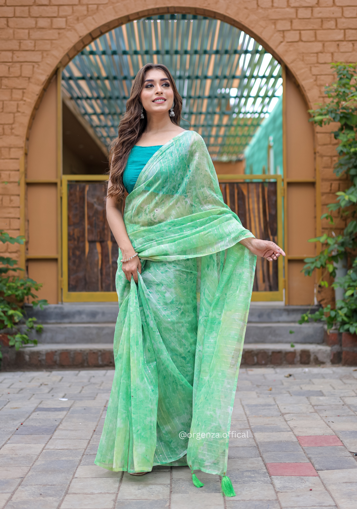 Organza Saree Furr With Sequence Lining - Orgenza Store