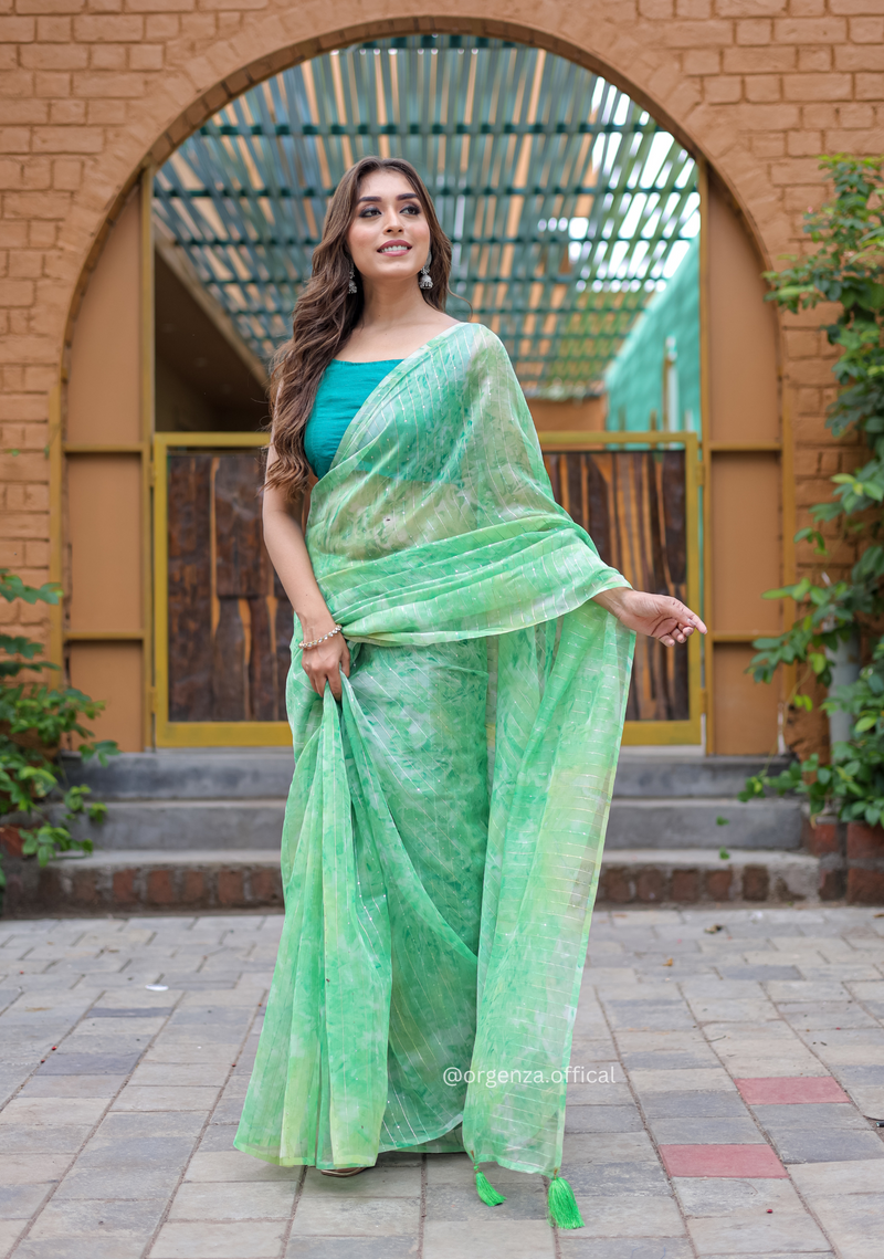 Organza Saree Furr With Sequence Lining