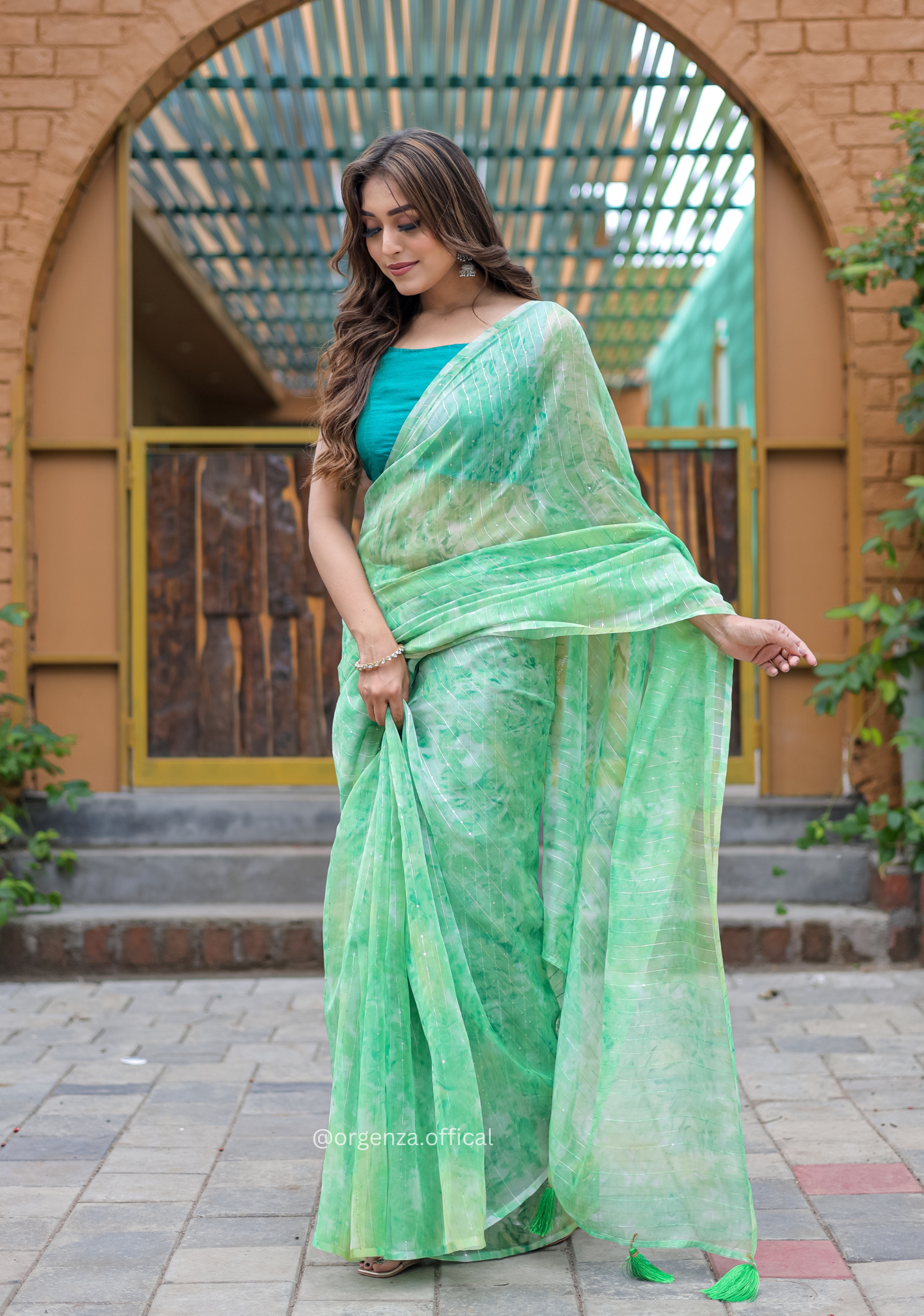 Organza Saree Furr With Sequence Lining - Orgenza Store