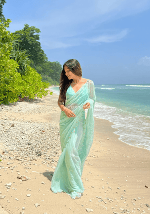 Georgette Silk Saree With Embridoery Work - Orgenza Store - digisoch