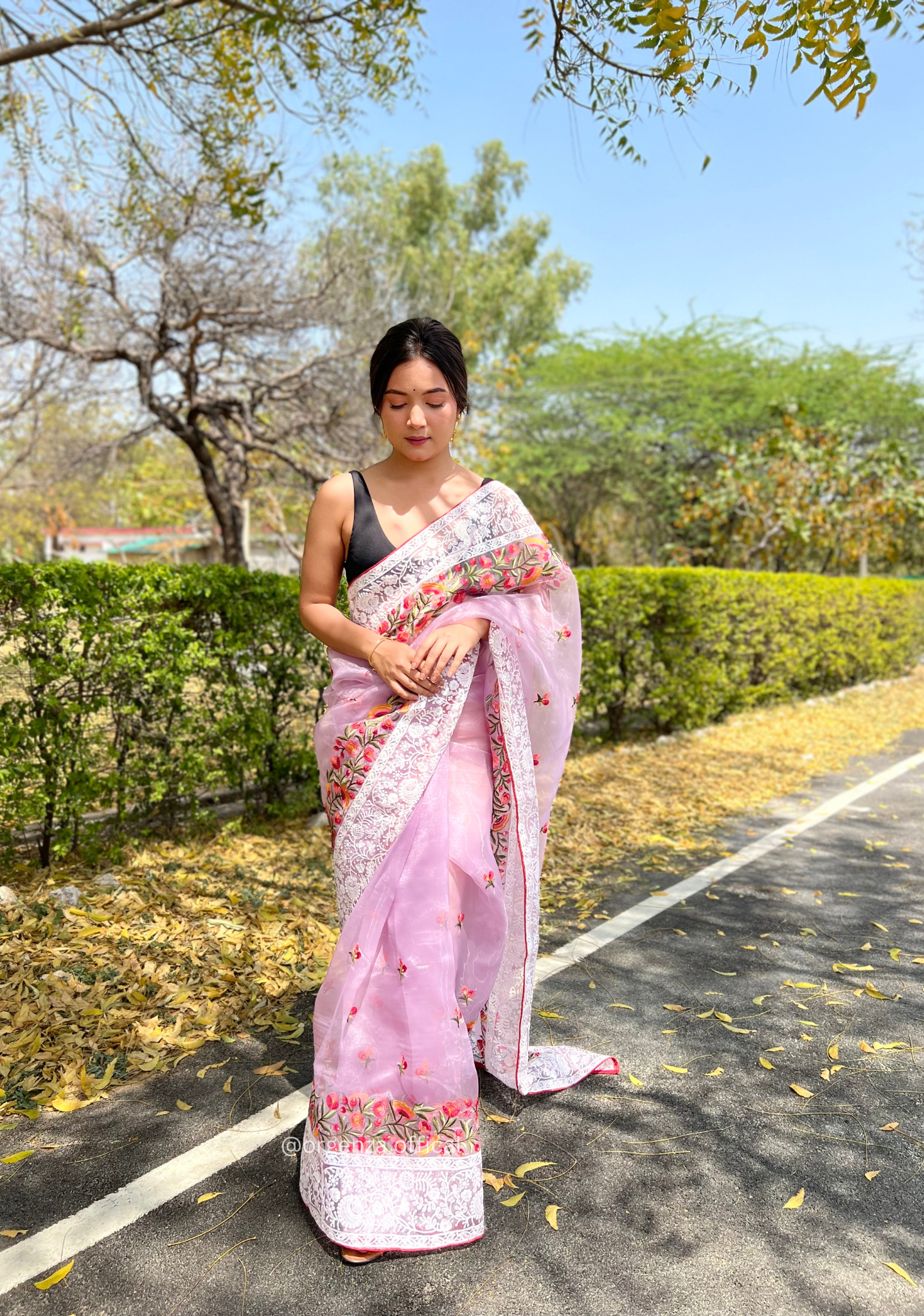 Light Lavender Organza Saree With Chikankari Work - Orgenza Store