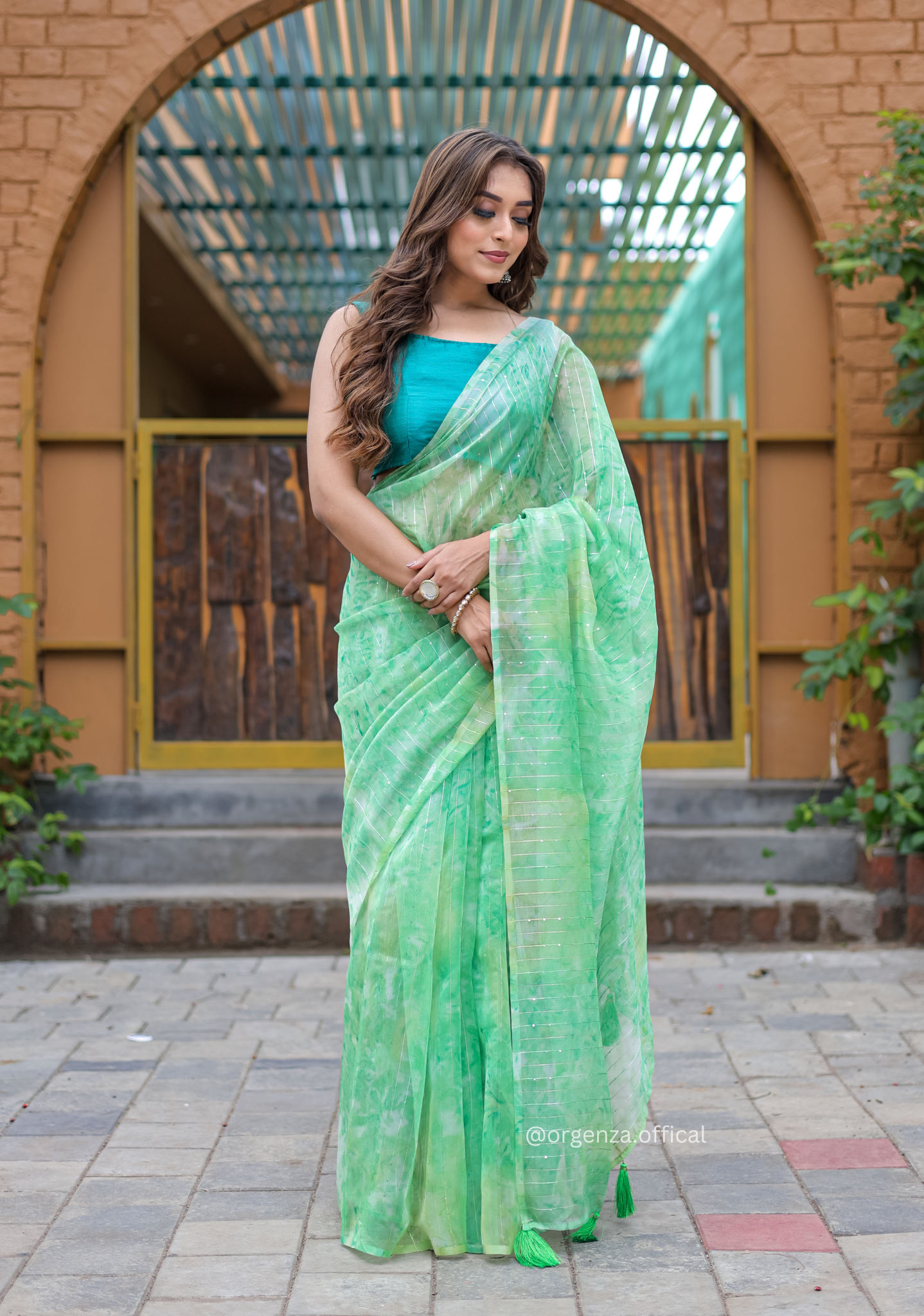 Organza Saree Furr With Sequence Lining - Orgenza Store