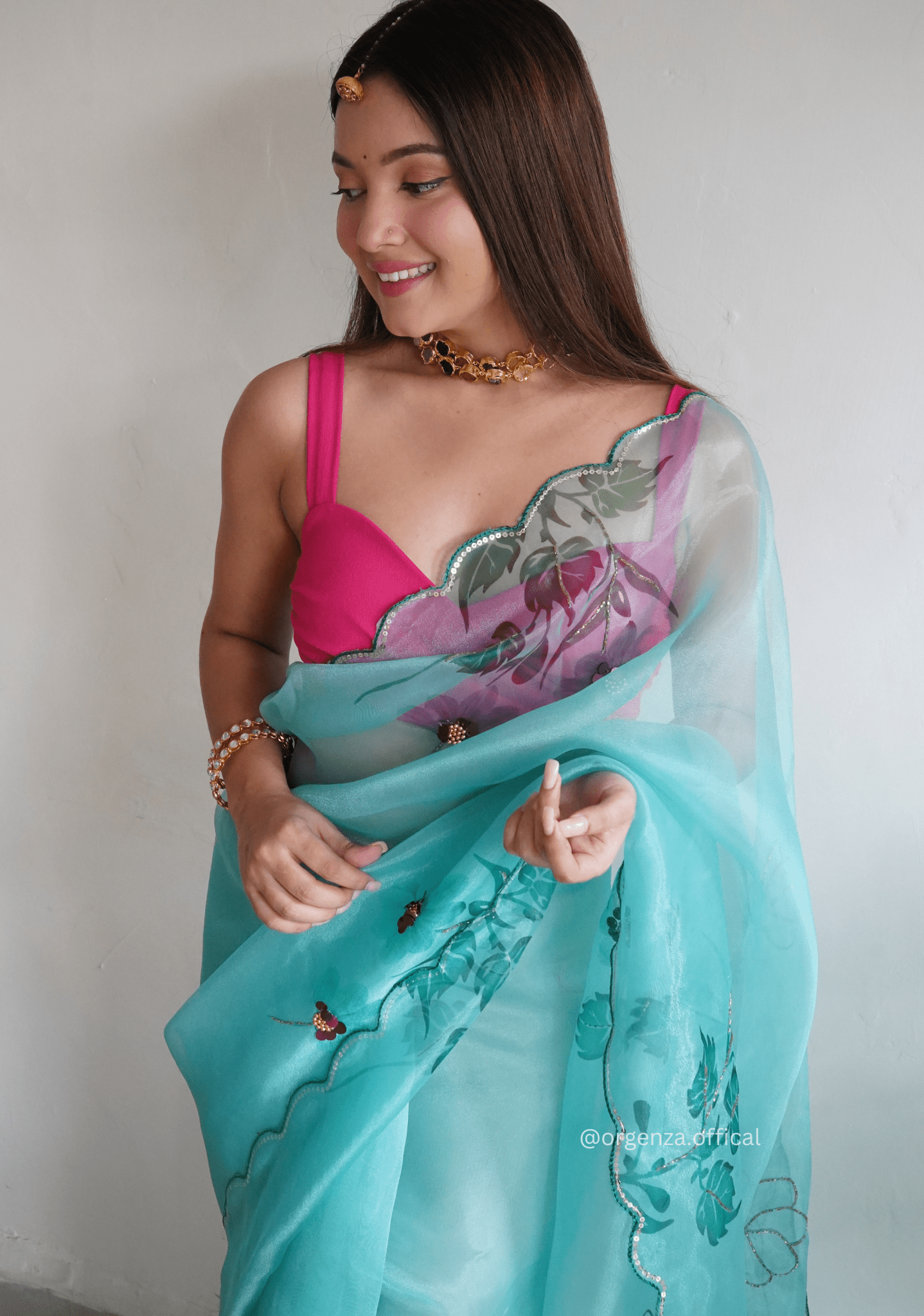 Sky Colour Organza Saree With Handwork - Orgenza Store - digisoch