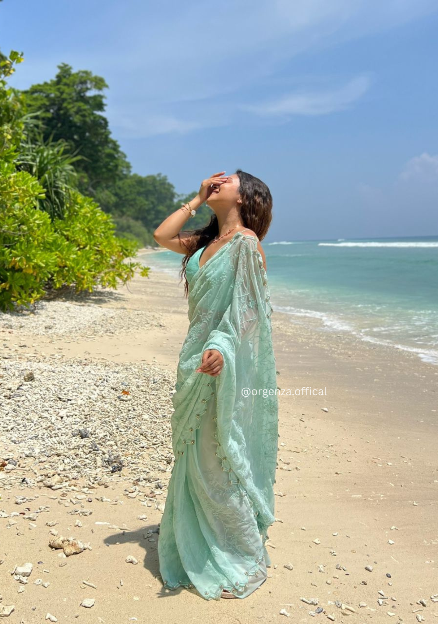 Georgette Silk Saree With Embridoery Work - Orgenza Store