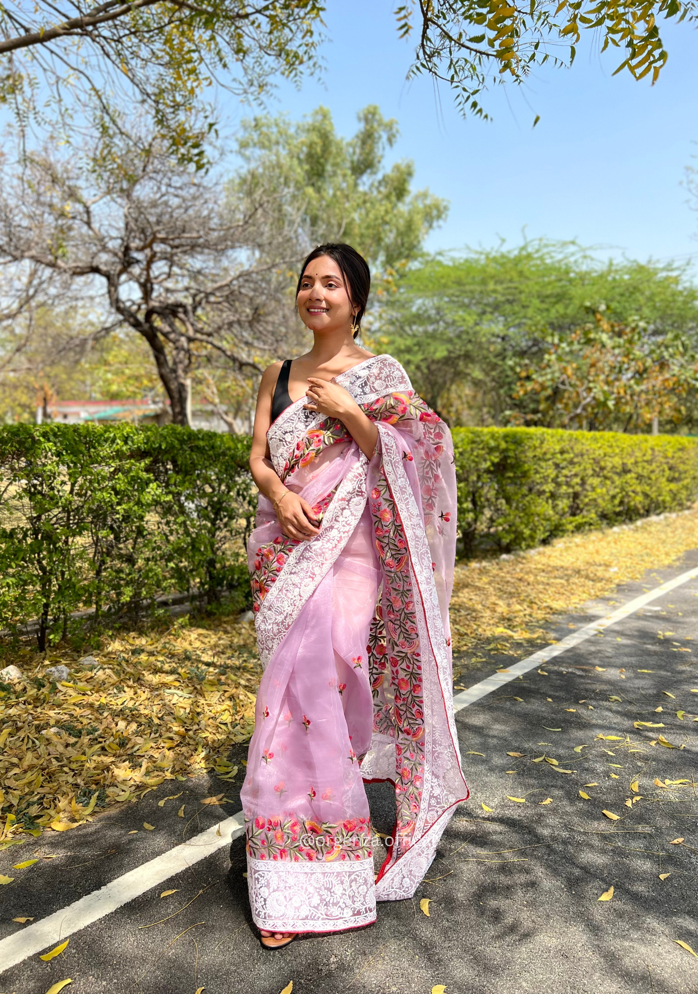 Light Lavender Organza Saree With Chikankari Work - Orgenza Store