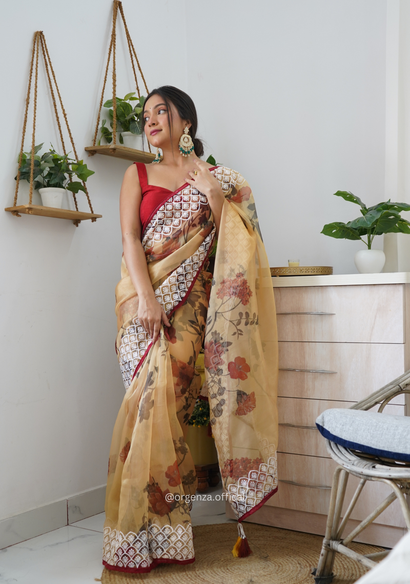 Multi Colour Organza Saree With Lucknowi Thread