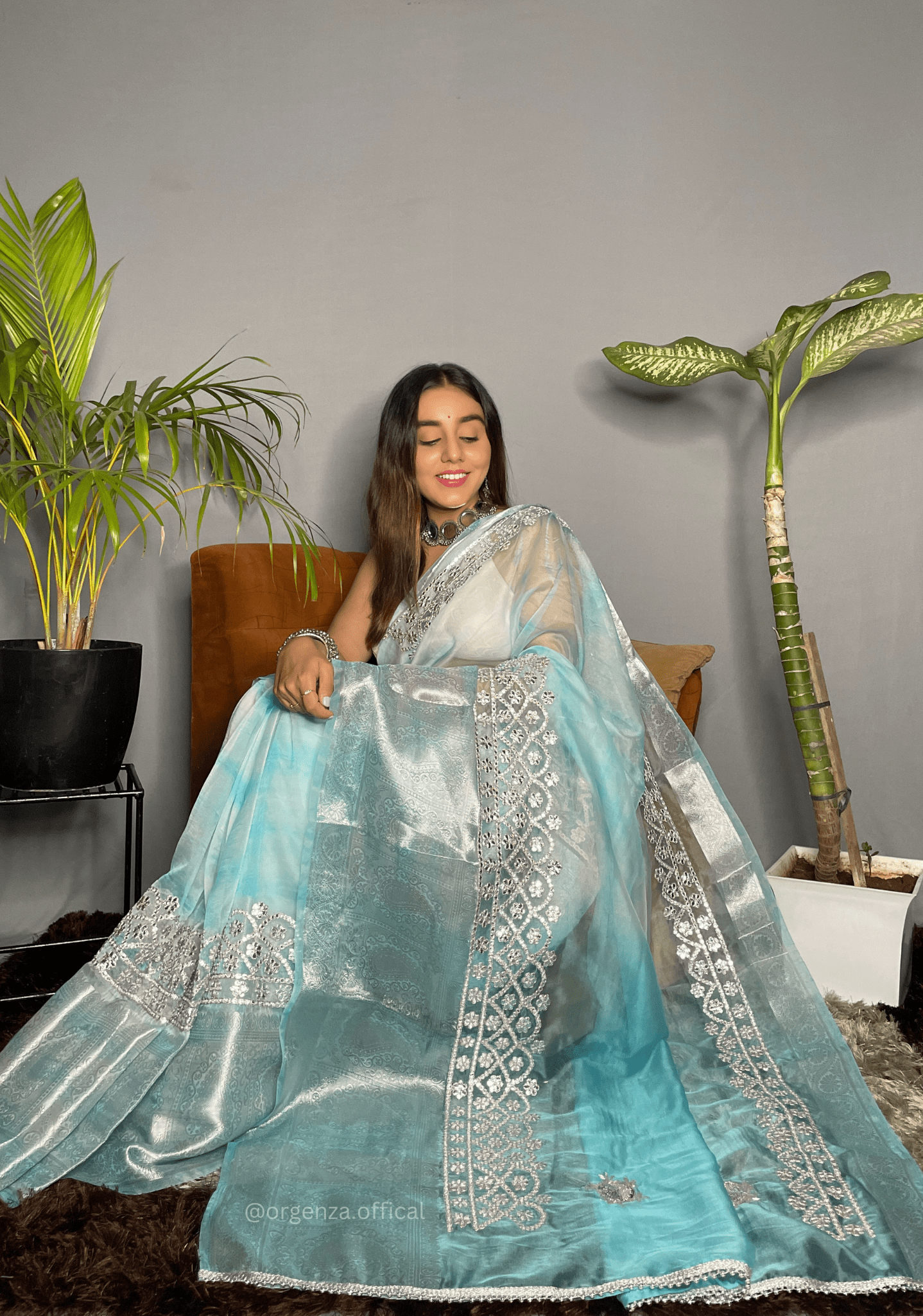 Organza Silk Saree With Weaving Border - Orgenza Store - digisoch