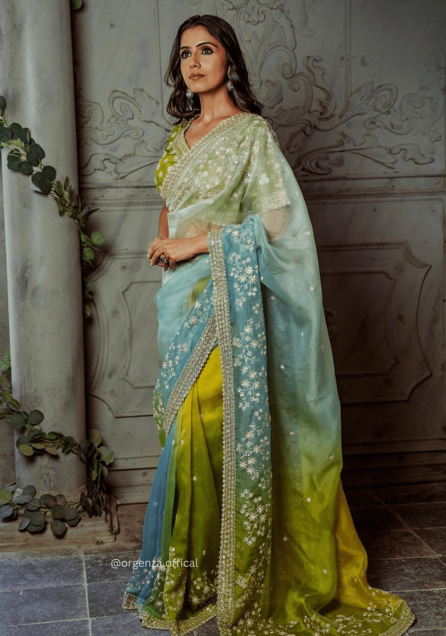 Organza Silk Saree With Beautiful Embroidery Zari Work - Orgenza Store - digisoch