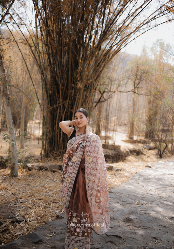 Organza Saree With Kashmiri Thread Work