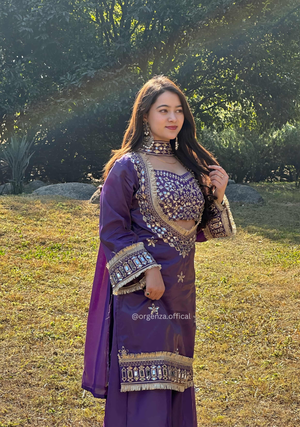 Fendy Silk Mirror Work Sharara Set for Women - Orgenza Store - digisoch