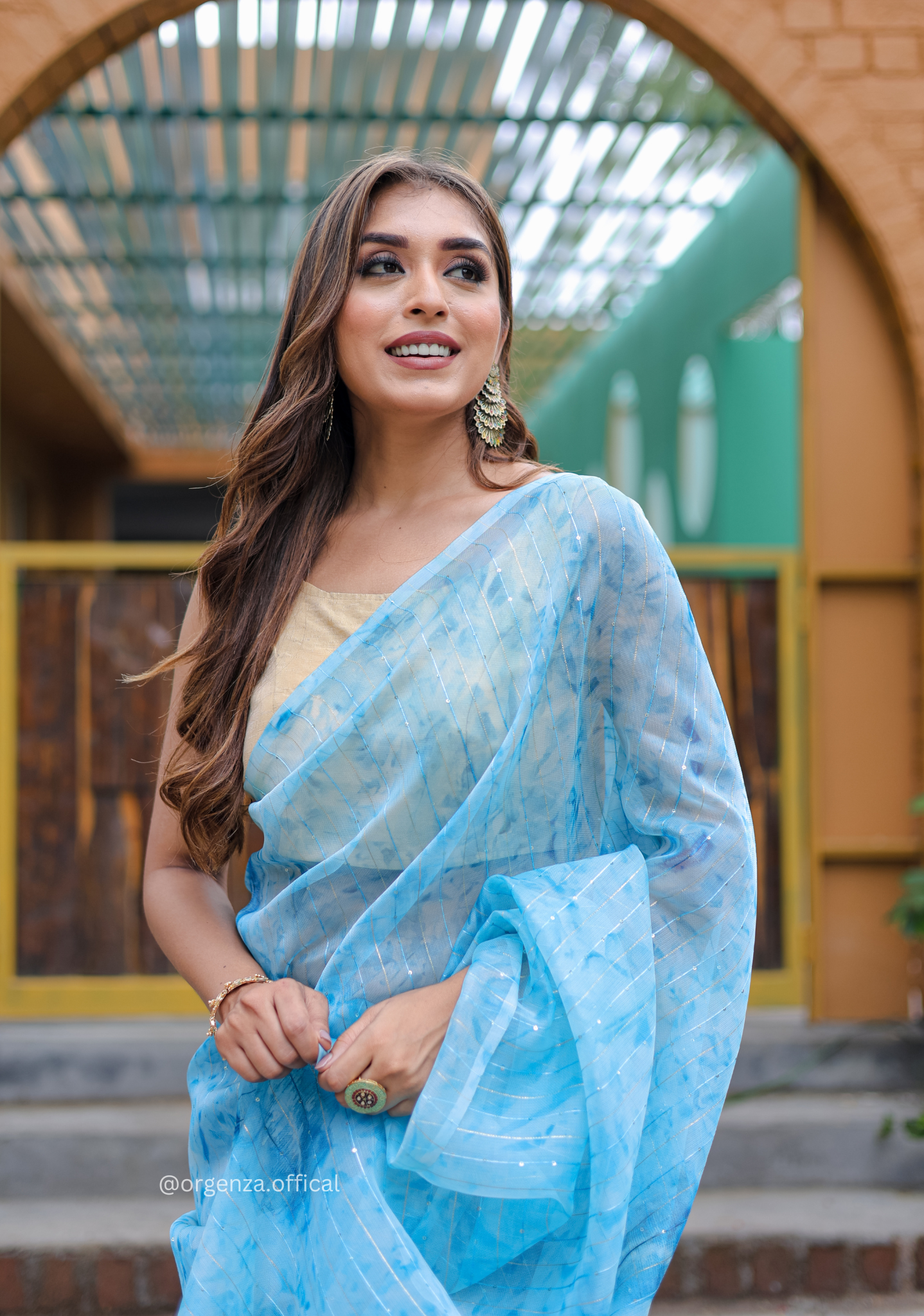 Organza Furr Saree With Sequence Lining - Orgenza Store
