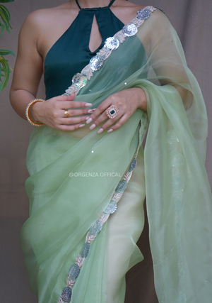 Pure Organza Saree With Fancy Lace Border - Orgenza Store