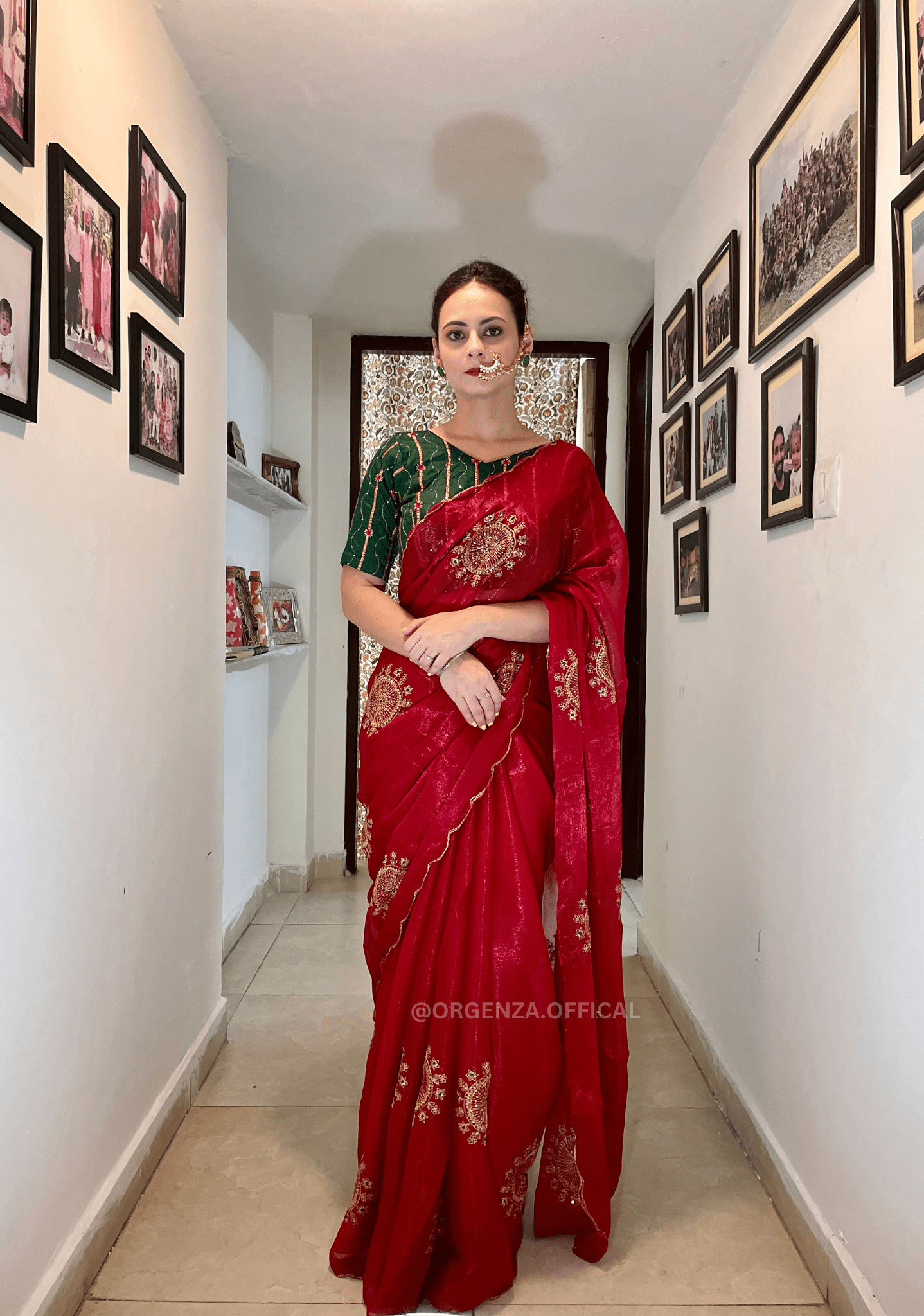 Pure Chiffon Zari Silk Saree With Embroidery Work - Orgenza Store - digisoch