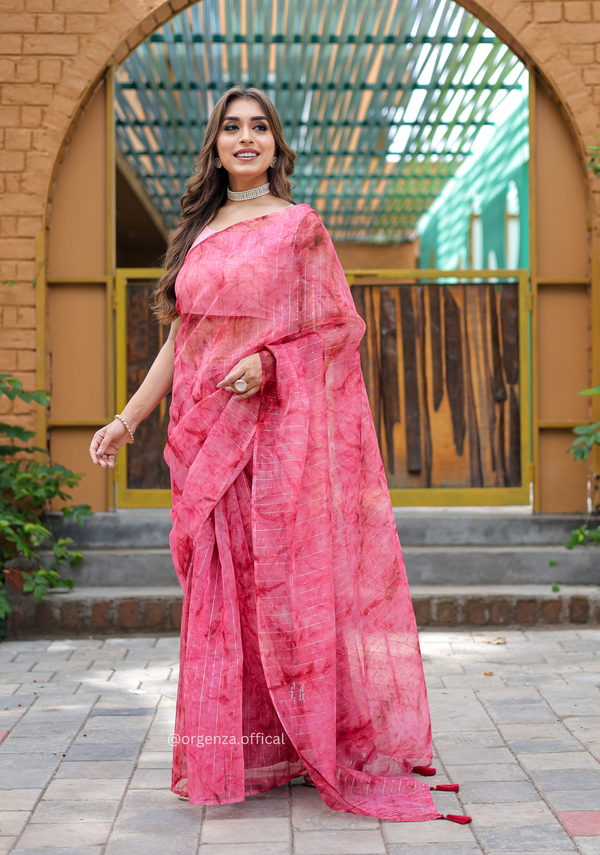 Organza Furr Saree With Sequence Lining