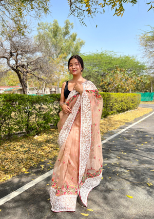 Brown Organza Saree With Chikankari Work - Orgenza Store - digisoch