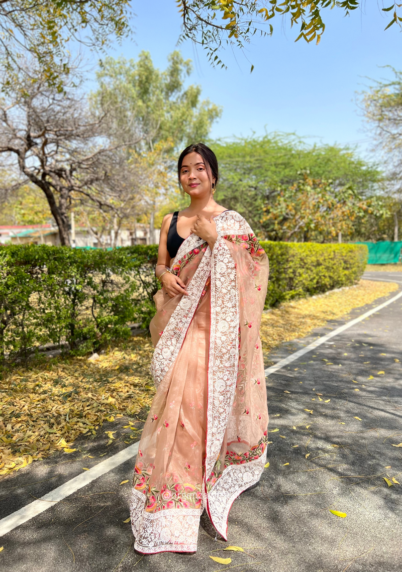 Brown Organza Saree With Chikankari Work