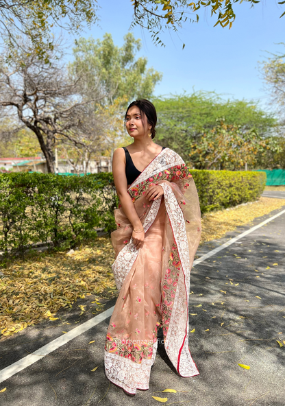 Brown Organza Saree With Chikankari Work - Orgenza Store