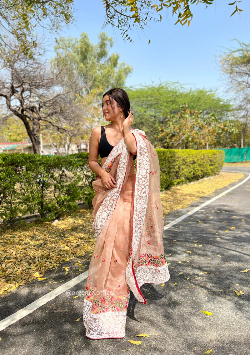 Brown Organza Saree With Chikankari Work