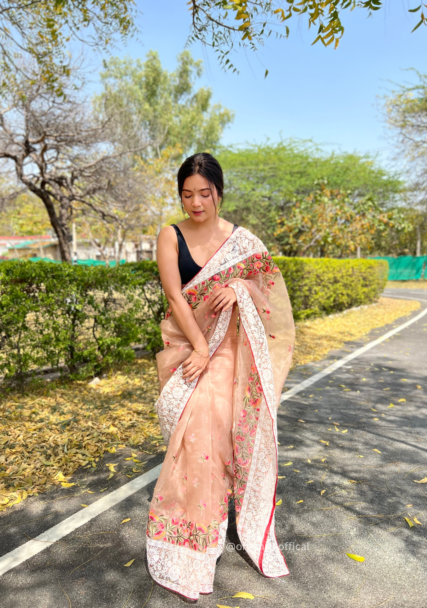 Brown Organza Saree With Chikankari Work - Orgenza Store