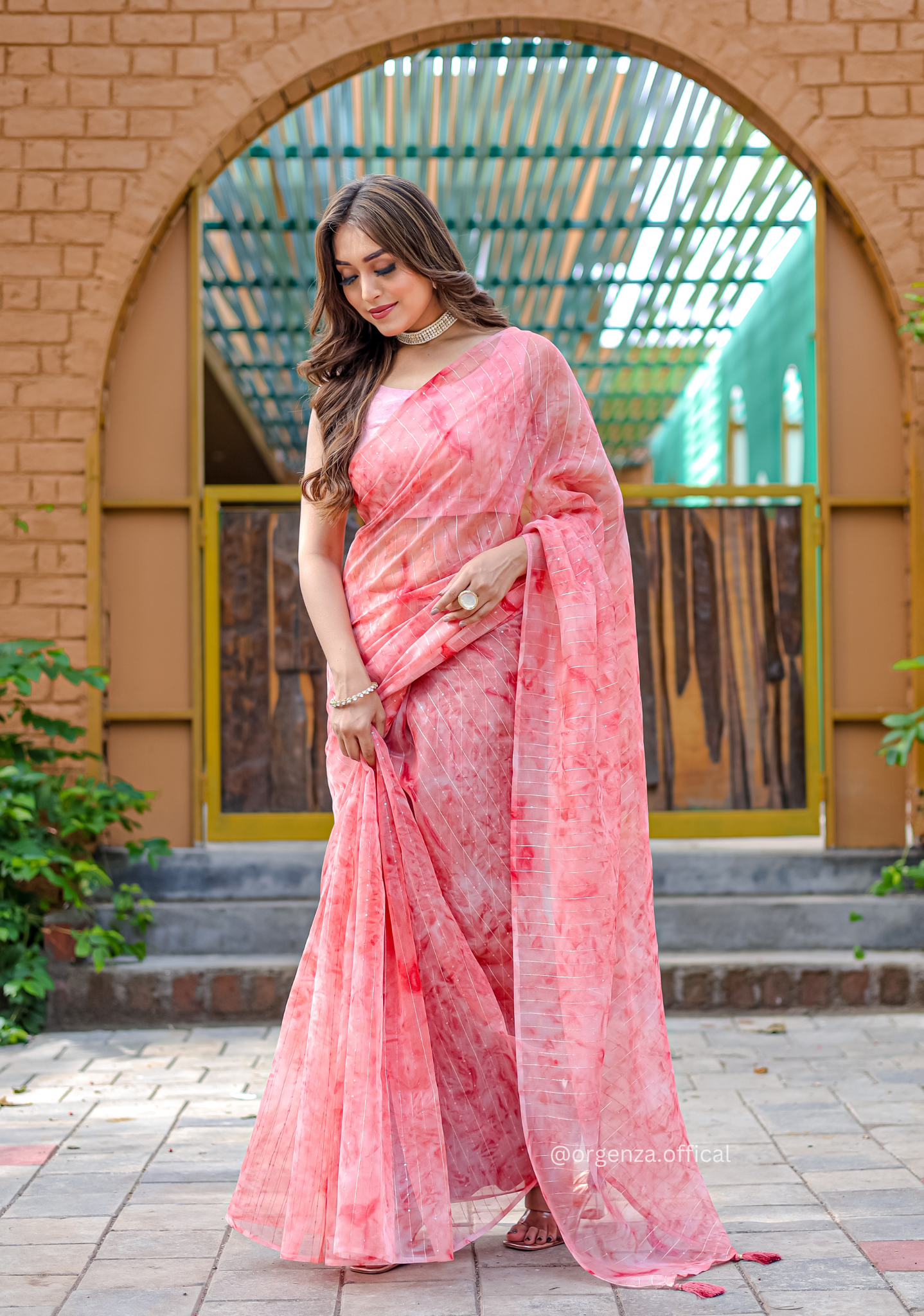Organza Furr Saree With Sequence Lining - Orgenza Store