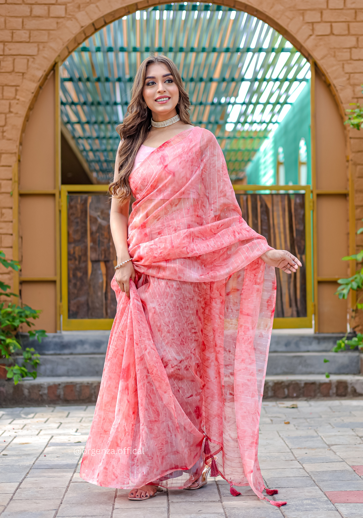 Organza Furr Saree With Sequence Lining - Orgenza Store