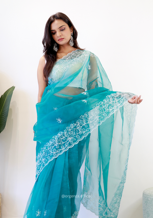 Sky Colour Embroidery Thread Work Saree - Orgenza Store