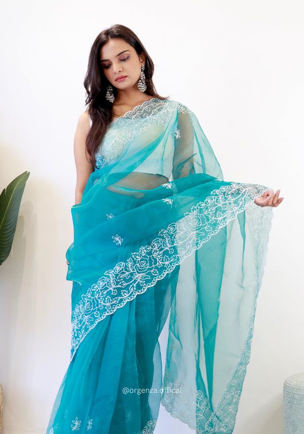 Sky Colour Embroidery Thread Work Saree