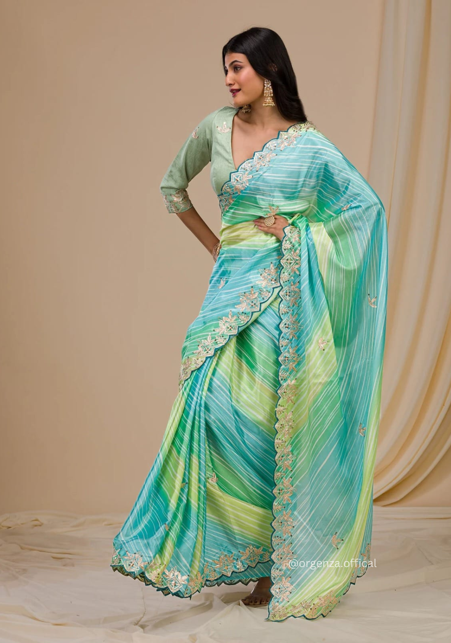 Multi Colour Chinnon Digital Print Saree