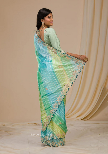 Multi Colour Chinnon Digital Print Saree